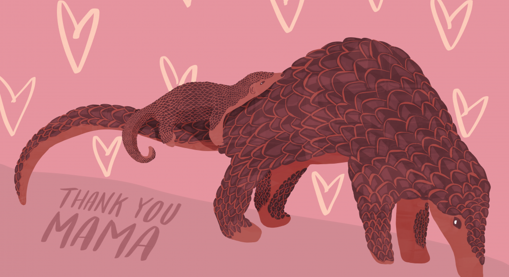 I ❤️ SHOPPING LOCAL - WHERE TO BUY LOVELY GIFTS FOR MUM FOR MOTHER'S DAY FROM INDEPENDENT BUSINESSES