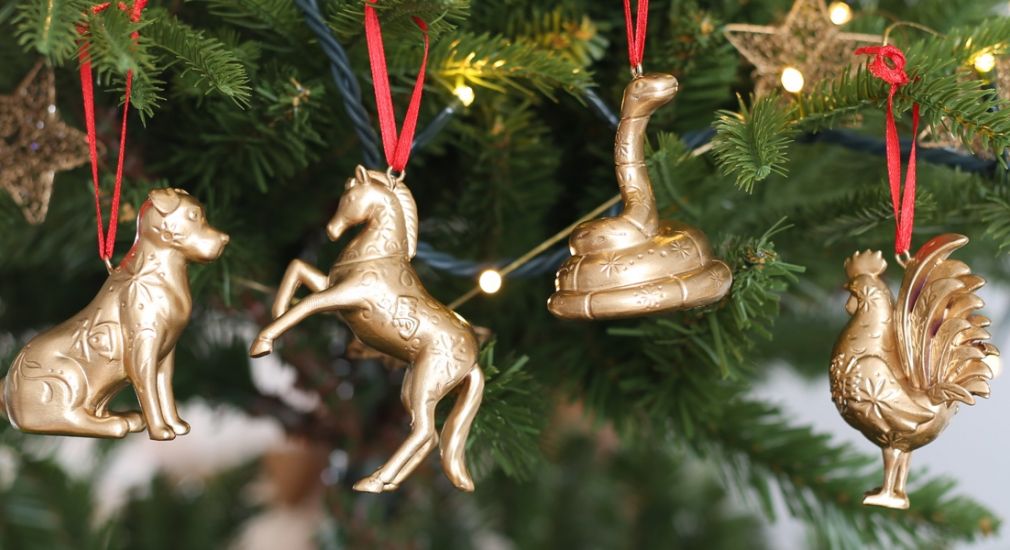 What is my Chinese Zodiac Animal?