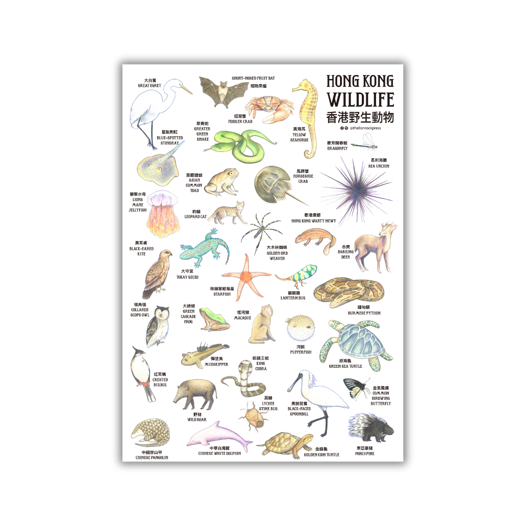 POSTER - Hong Kong Wildlife