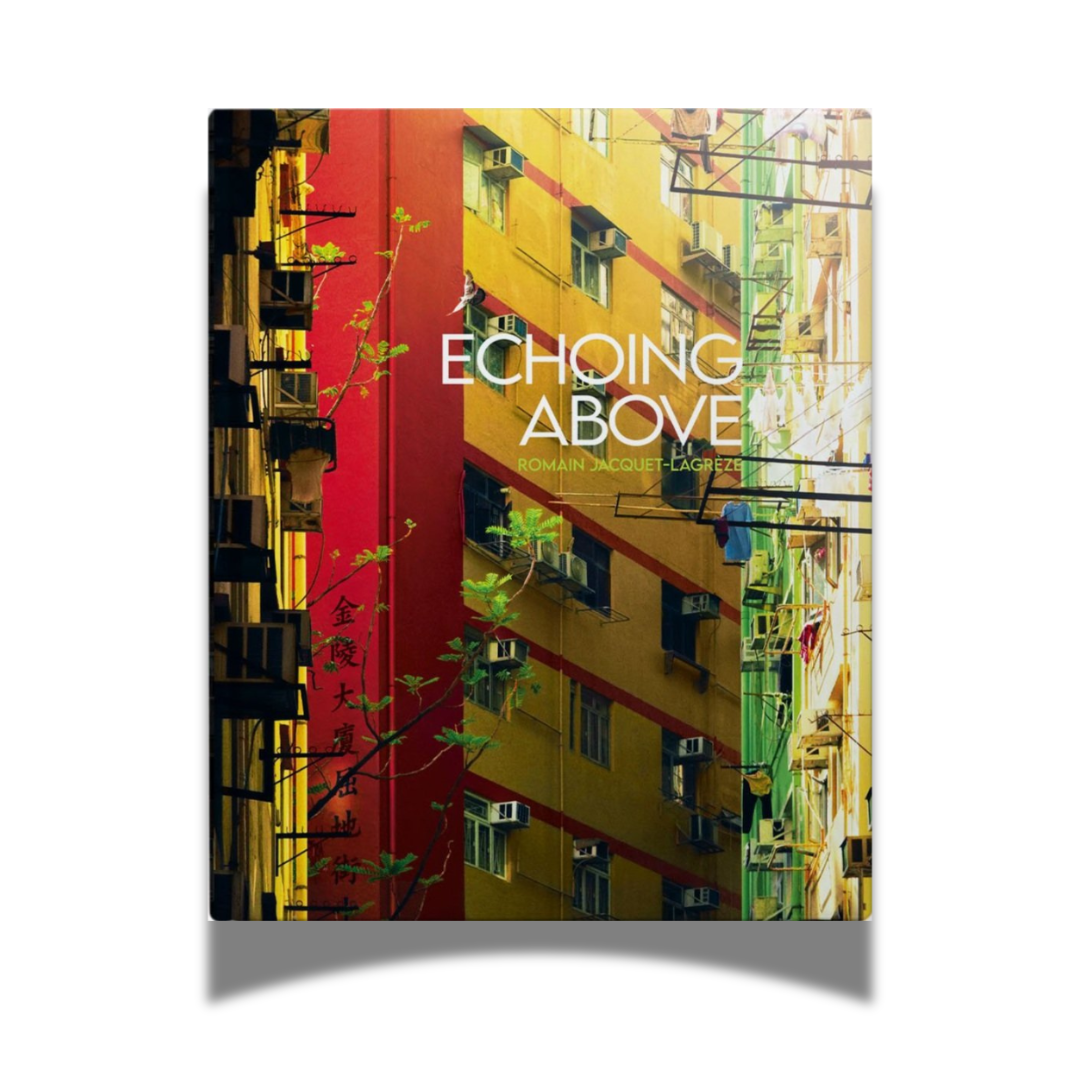 BOOK: Echoing Above