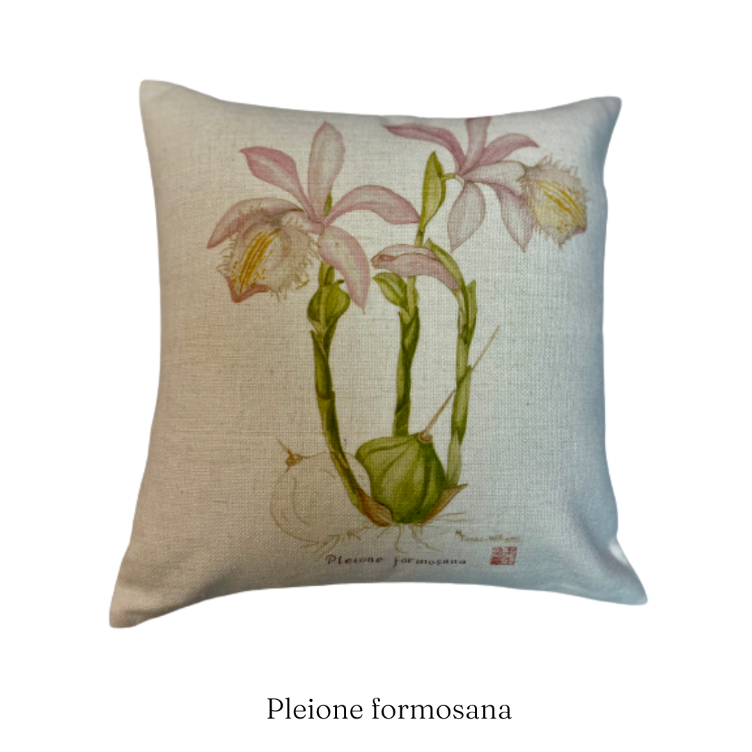 CUSHION SET: Hong Kong Botanicals- 3 Cushions (3 designs)