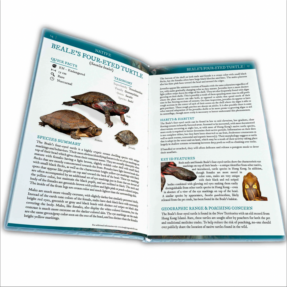 BOOK: Field Guide to the Turtles of Hong Kong