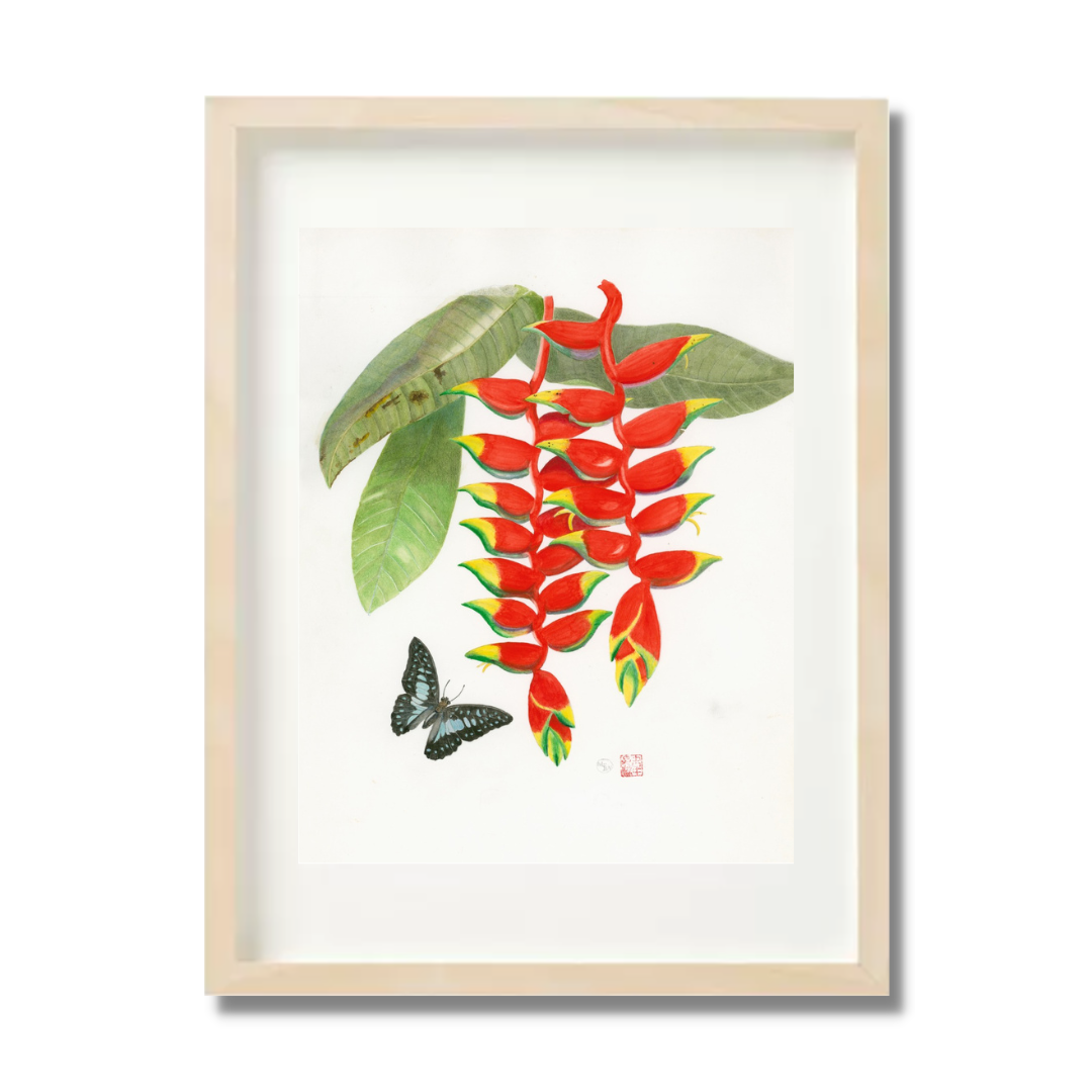 Mark Isaac-Williams Print: Heliconia