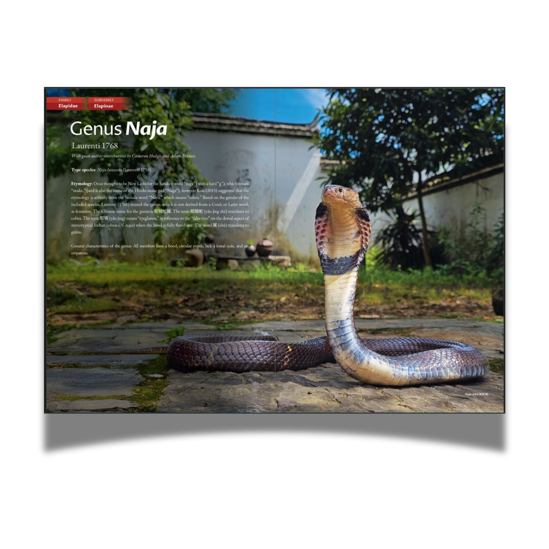 BOOK: The Venomous Snakes of China