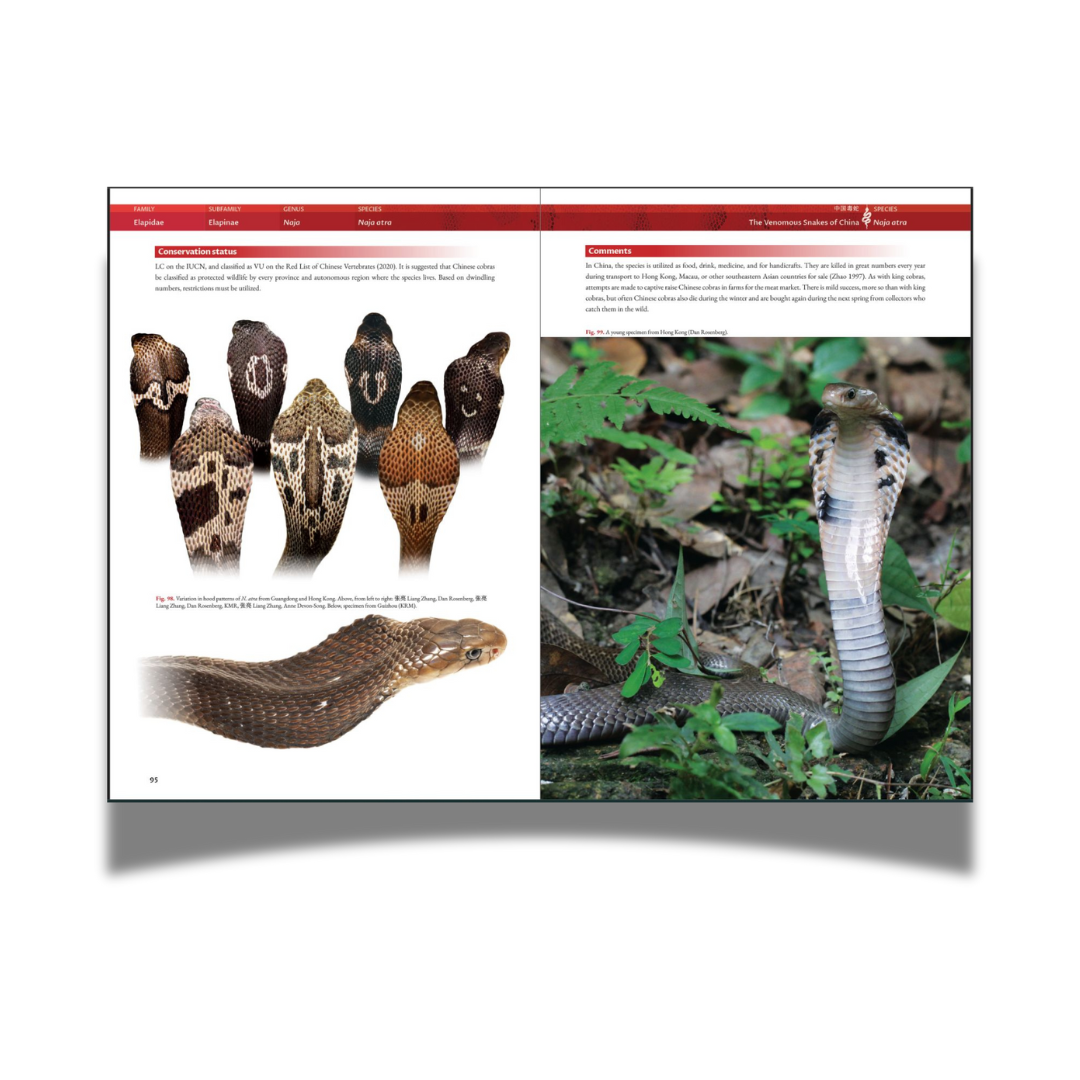 BOOK: The Venomous Snakes of China