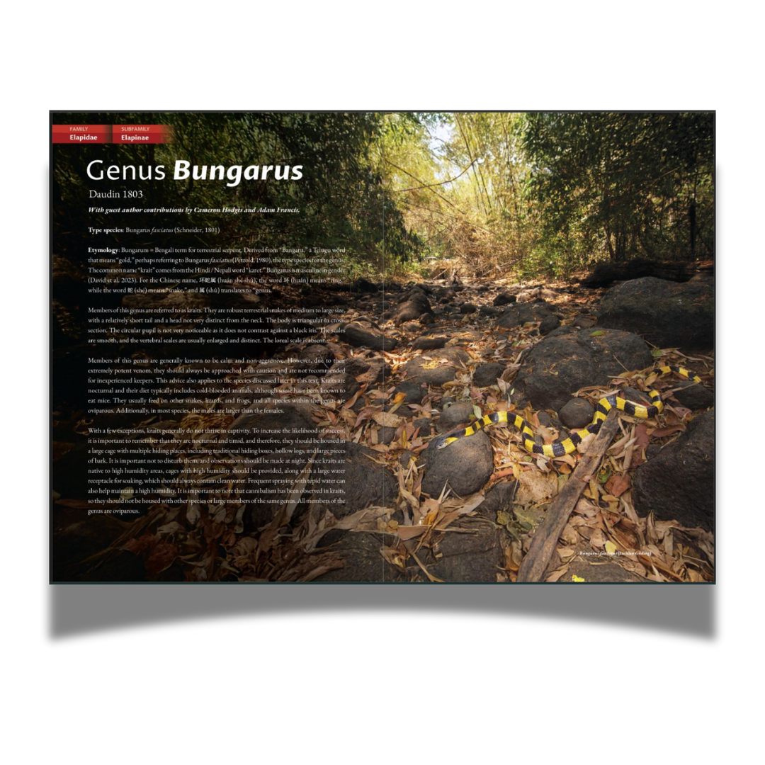 BOOK: The Venomous Snakes of China