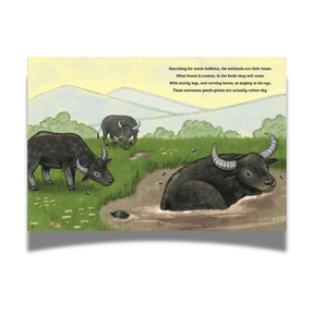 BOOK: Finding Animals in Hong Kong