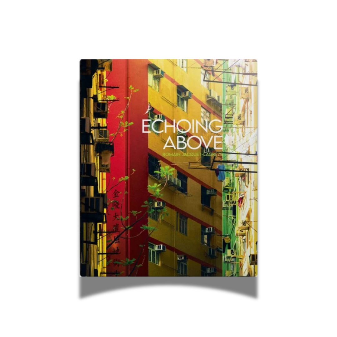 BOOK: Echoing Above