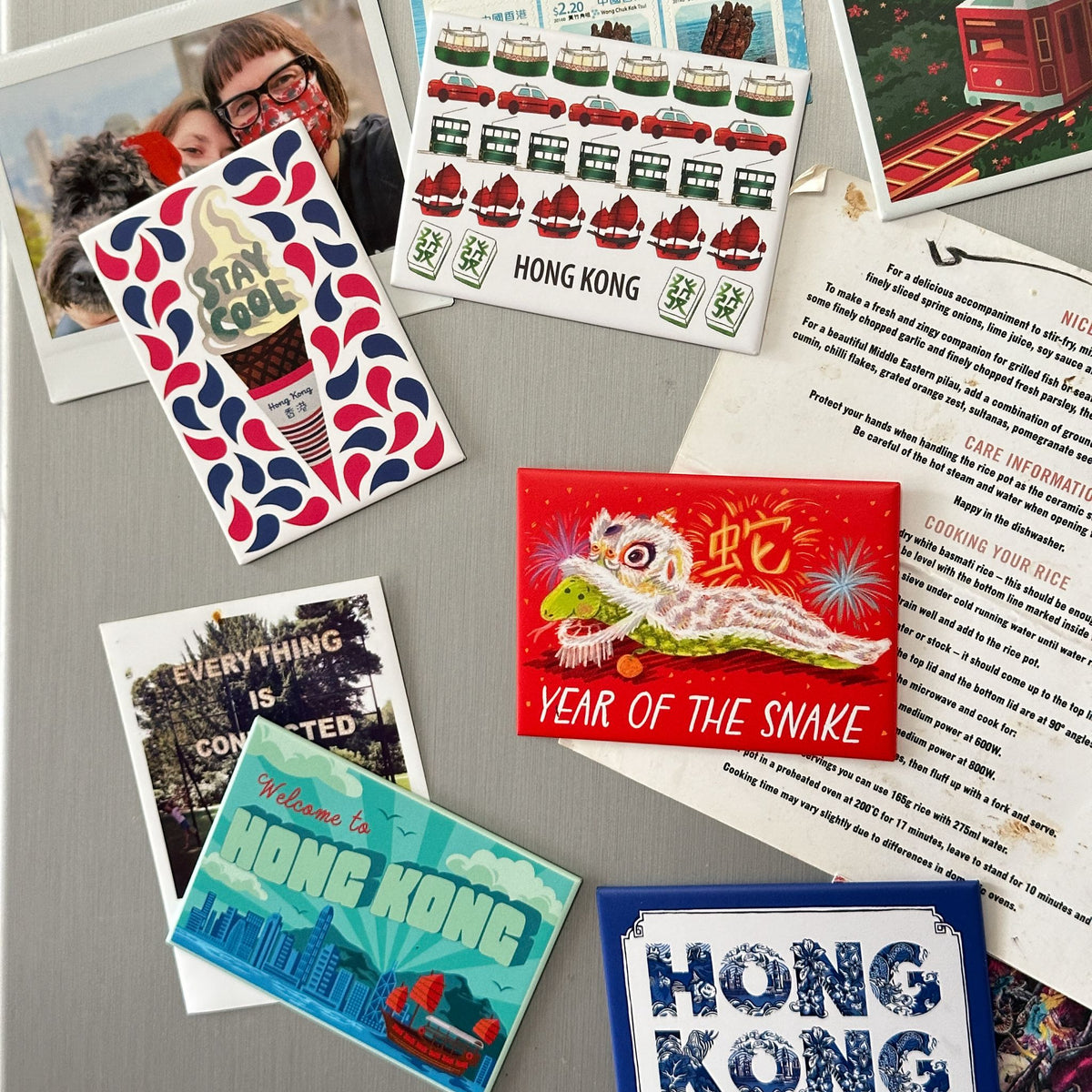 MAGNET: Year of the Snake