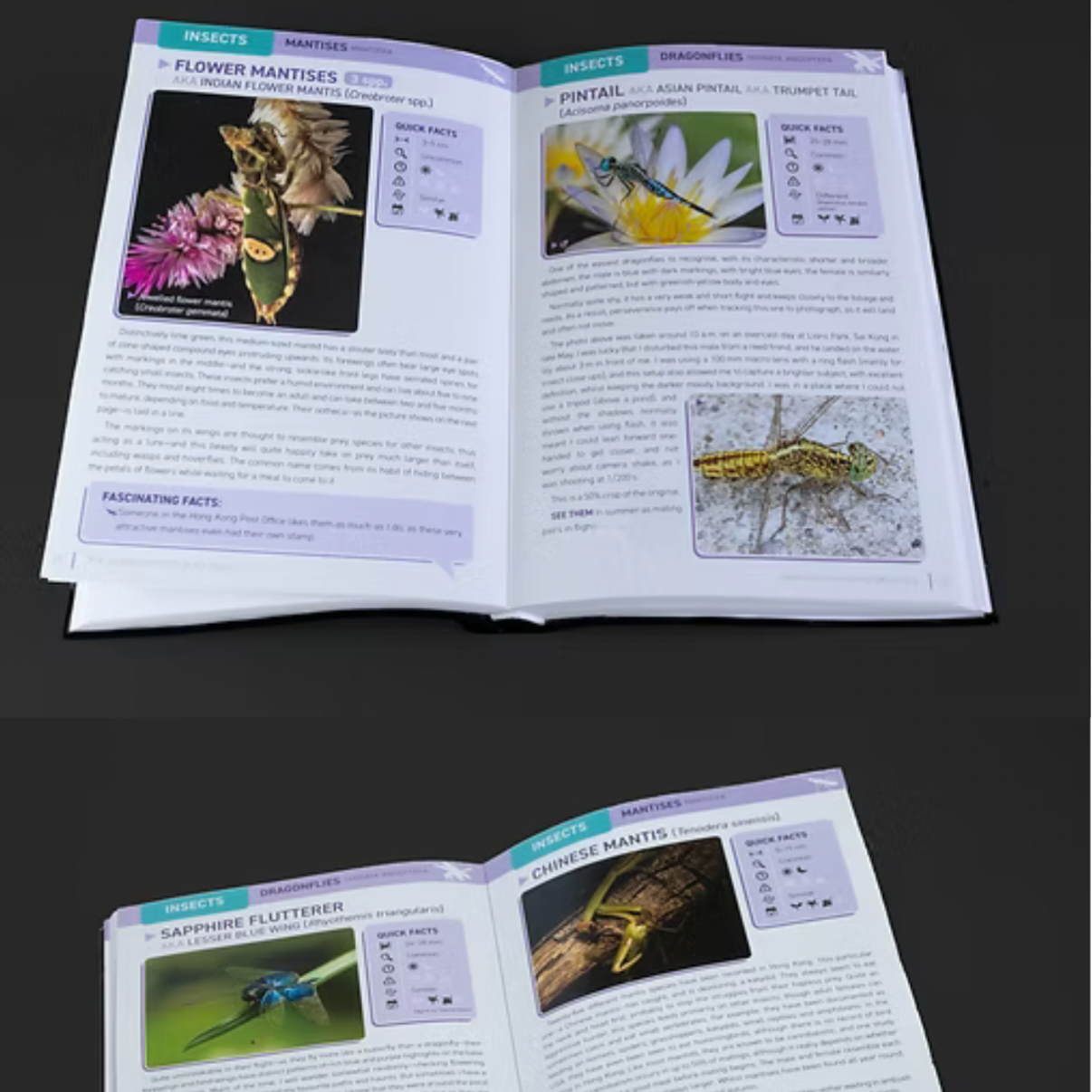 BOOK: The Bugs of Hong Kong