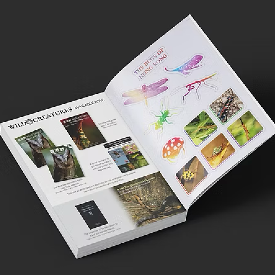 BOOK: Bugs of Hong Kong