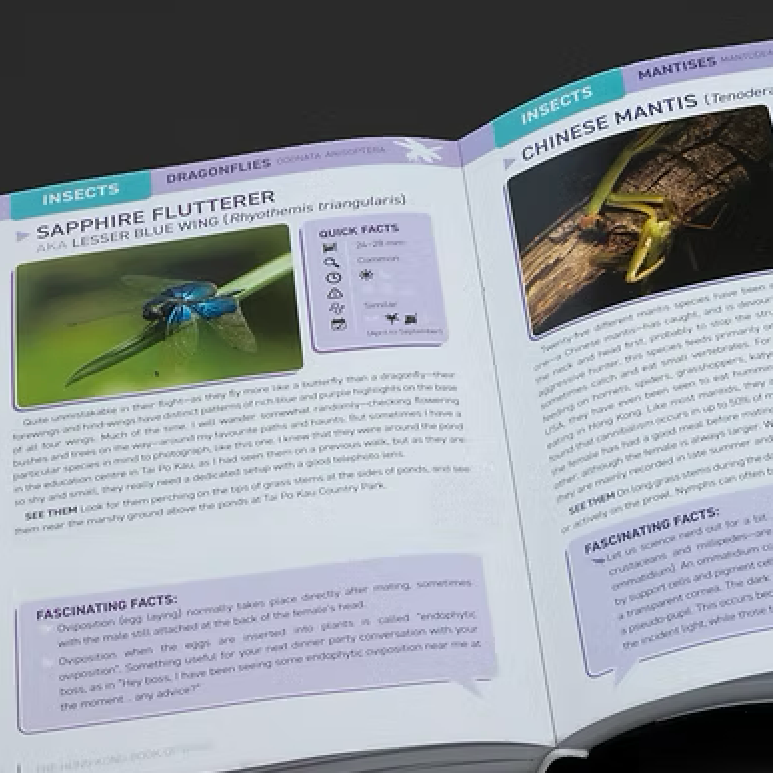 BOOK: Bugs of Hong Kong