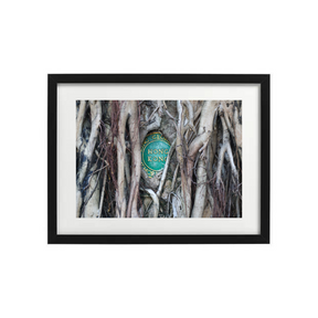 VIEW THROUGH JEN'S LENS PRINT: Banyan Tree Roots