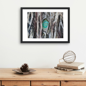 VIEW THROUGH JEN'S LENS PRINT: Banyan Tree Roots