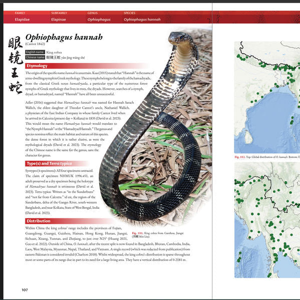 BOOK: The Venomous Snakes of China