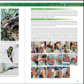 BOOK: The Venomous Snakes of China