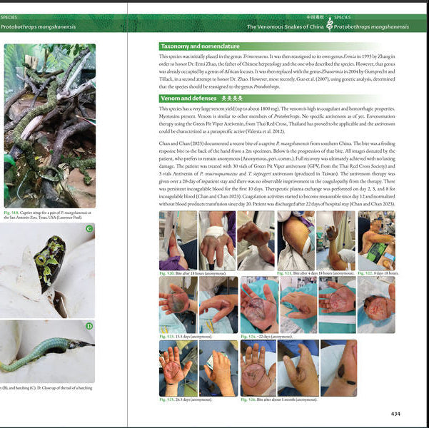 BOOK: The Venomous Snakes of China