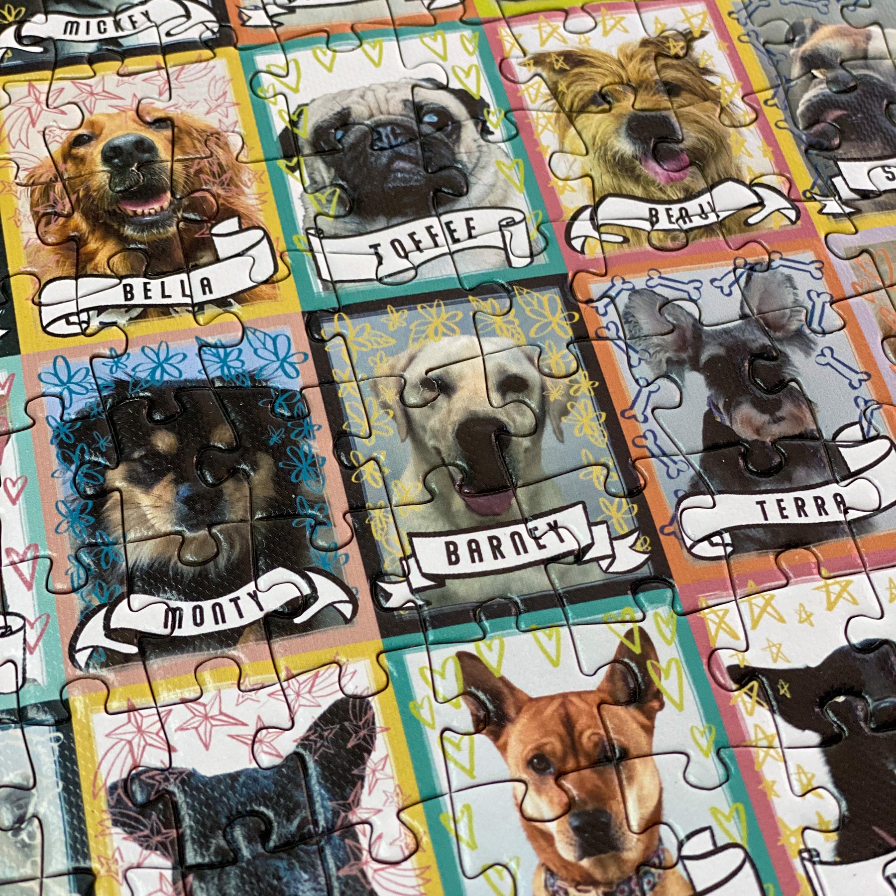 Gray LUXURY DOUBLE-SIDED 1000pc PUZZLE: HK Loves Rescue Dogs