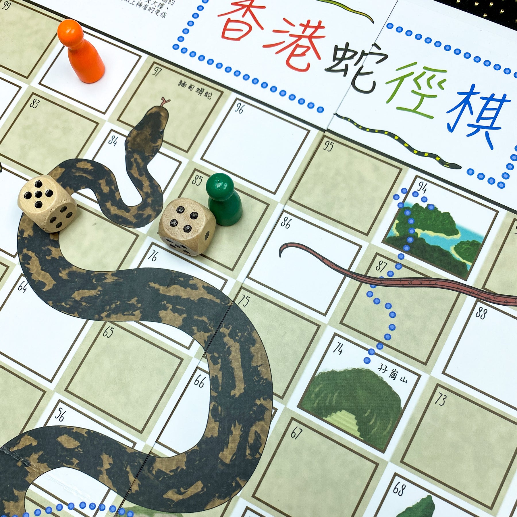 Snakes & Trails Board Game (Bilingual)