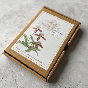 Gray BOXED NOTECARDS: Mark Isaac-Williams Luxury Hong Kong Botanicals Illustrations (set of 8)