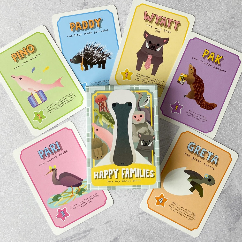 Light Gray HONG KONG 5 in 1 CARD GAMES