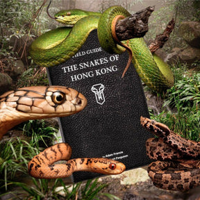 Dark Slate Gray BOOK: The Snakes of Hong Kong