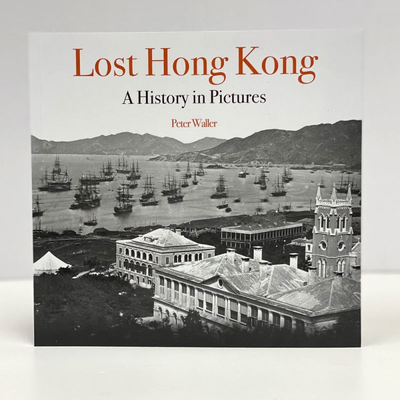 Light Gray BOOK: Lost Hong Kong