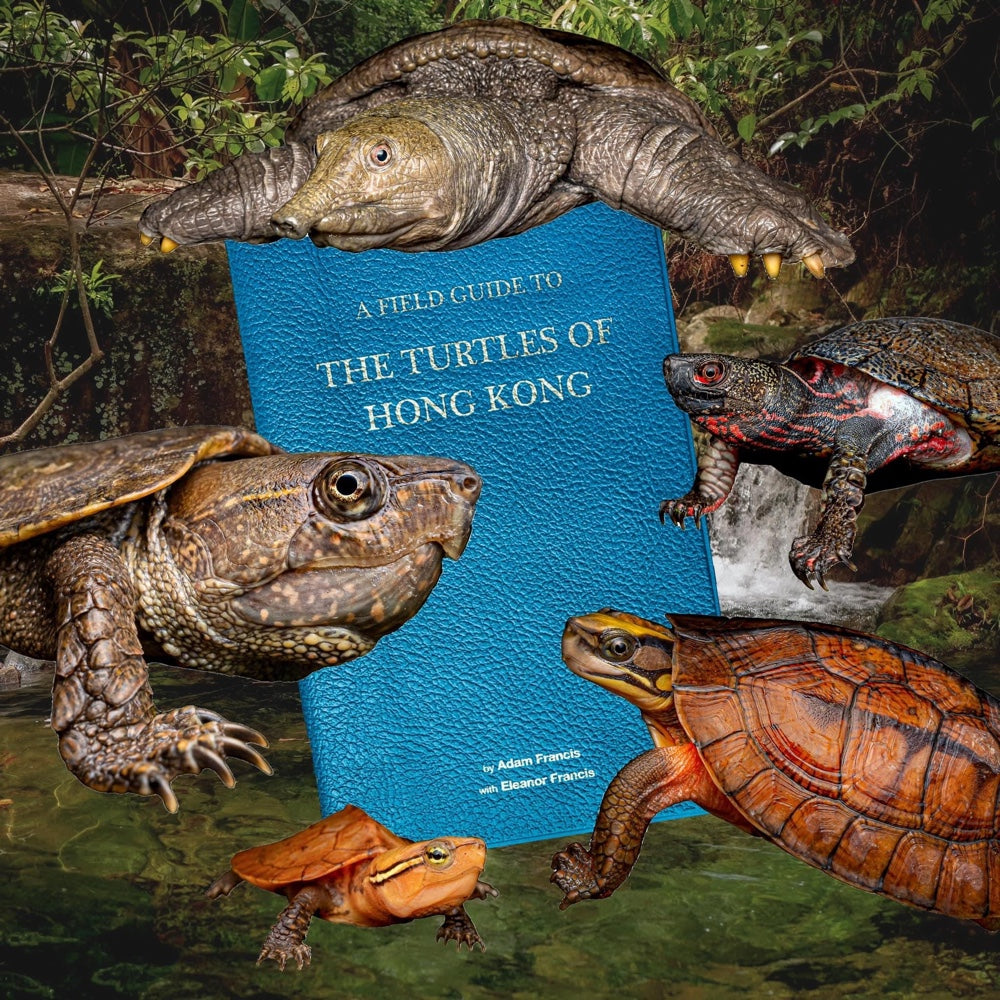 BOOK: Field Guide to the Turtles of Hong Kong